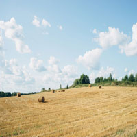 Hay Bales, Straw Fields